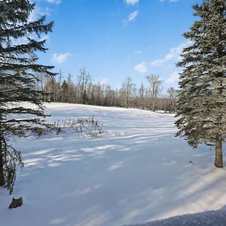 Premium Slope-Side Escape I Alpen Villas At Powderhorn Mountain Bessemer Exterior foto